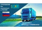Страхование в Россию для автомобилей на иностранном учете